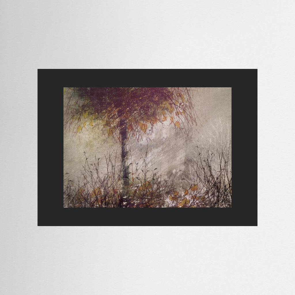 The birch by Nel Talen