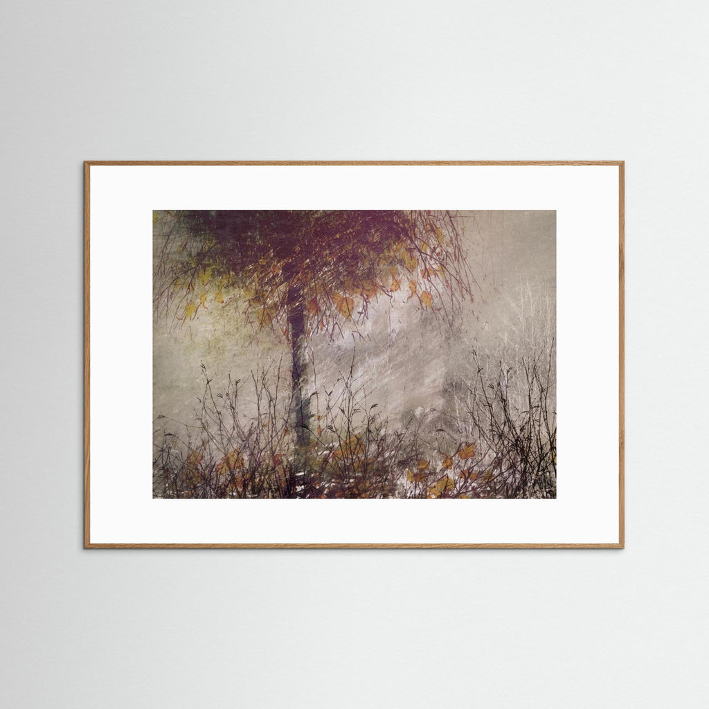 The birch by Nel Talen