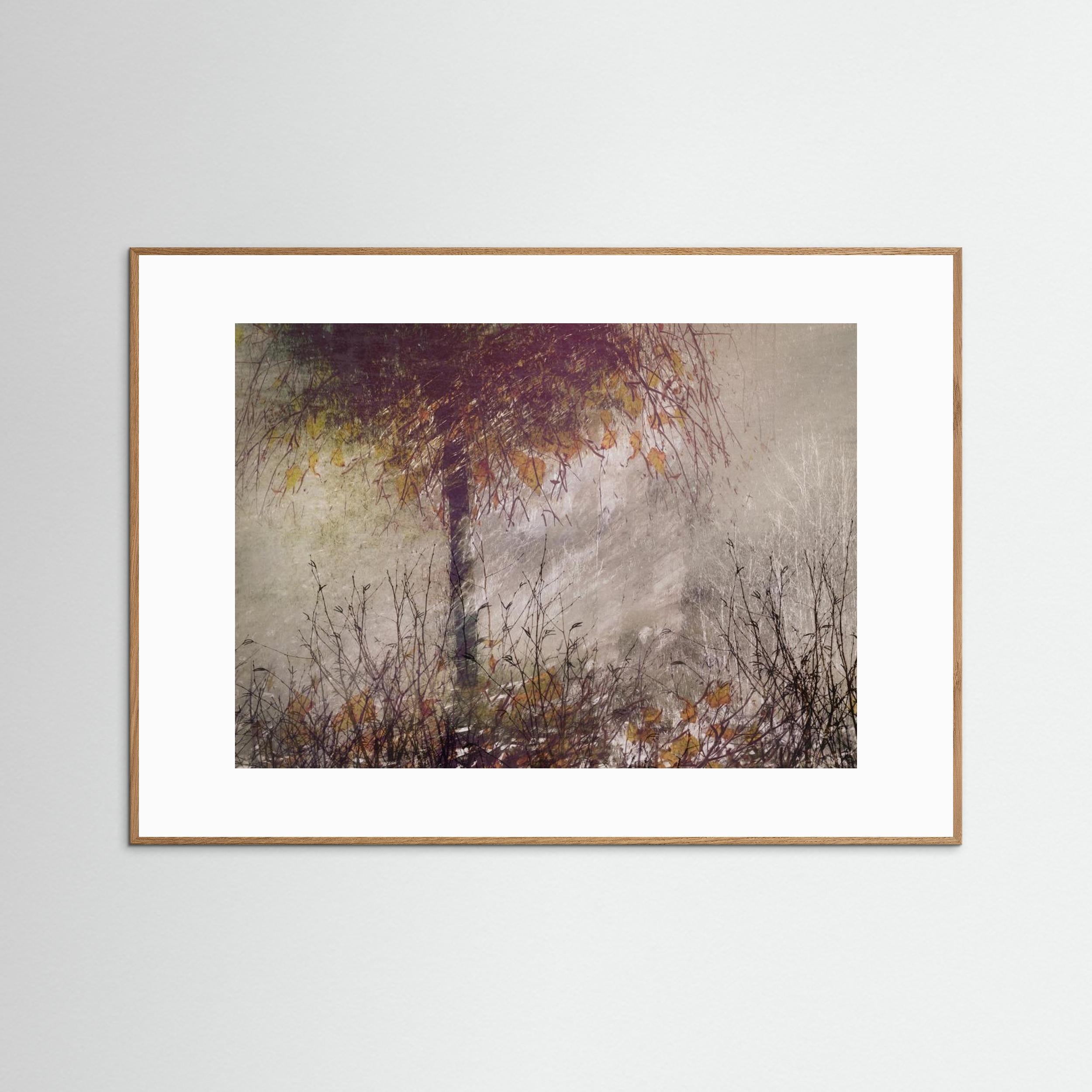 The birch by Nel Talen