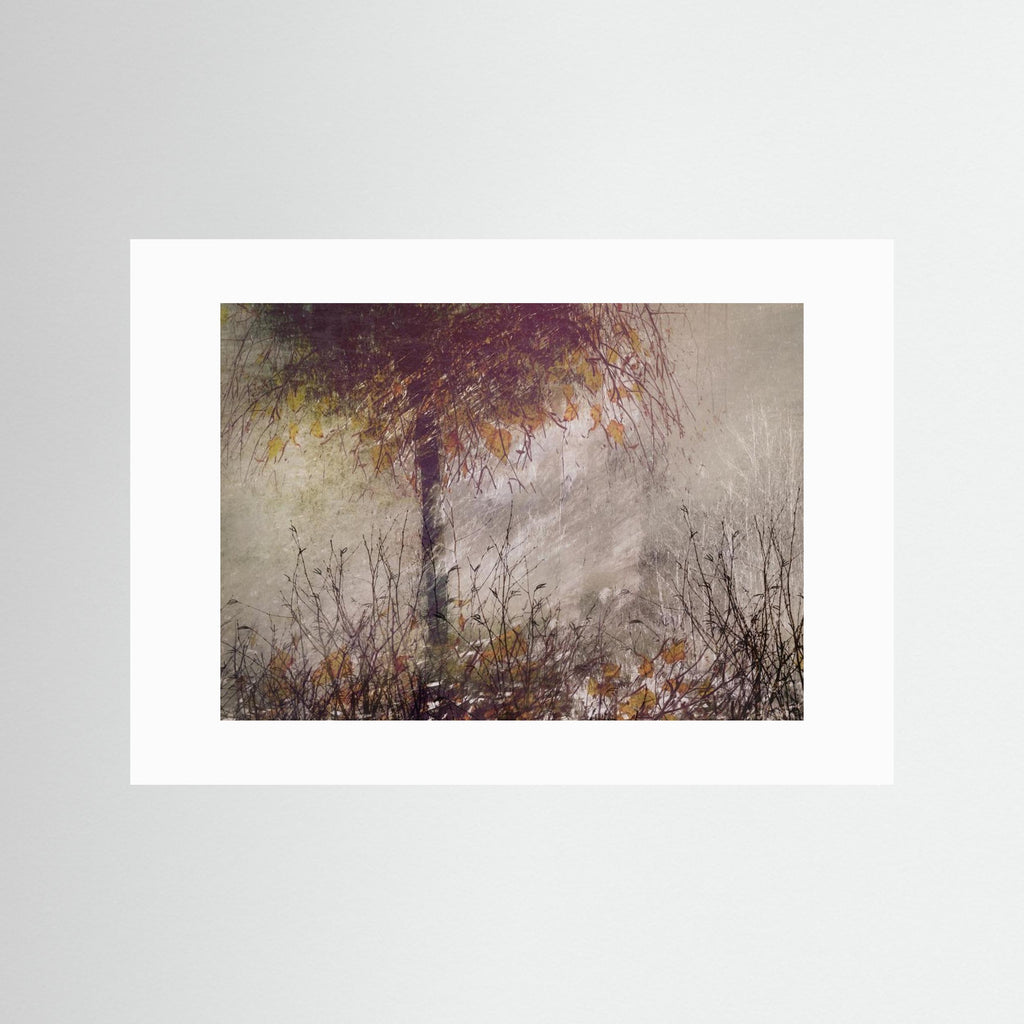 The birch by Nel Talen