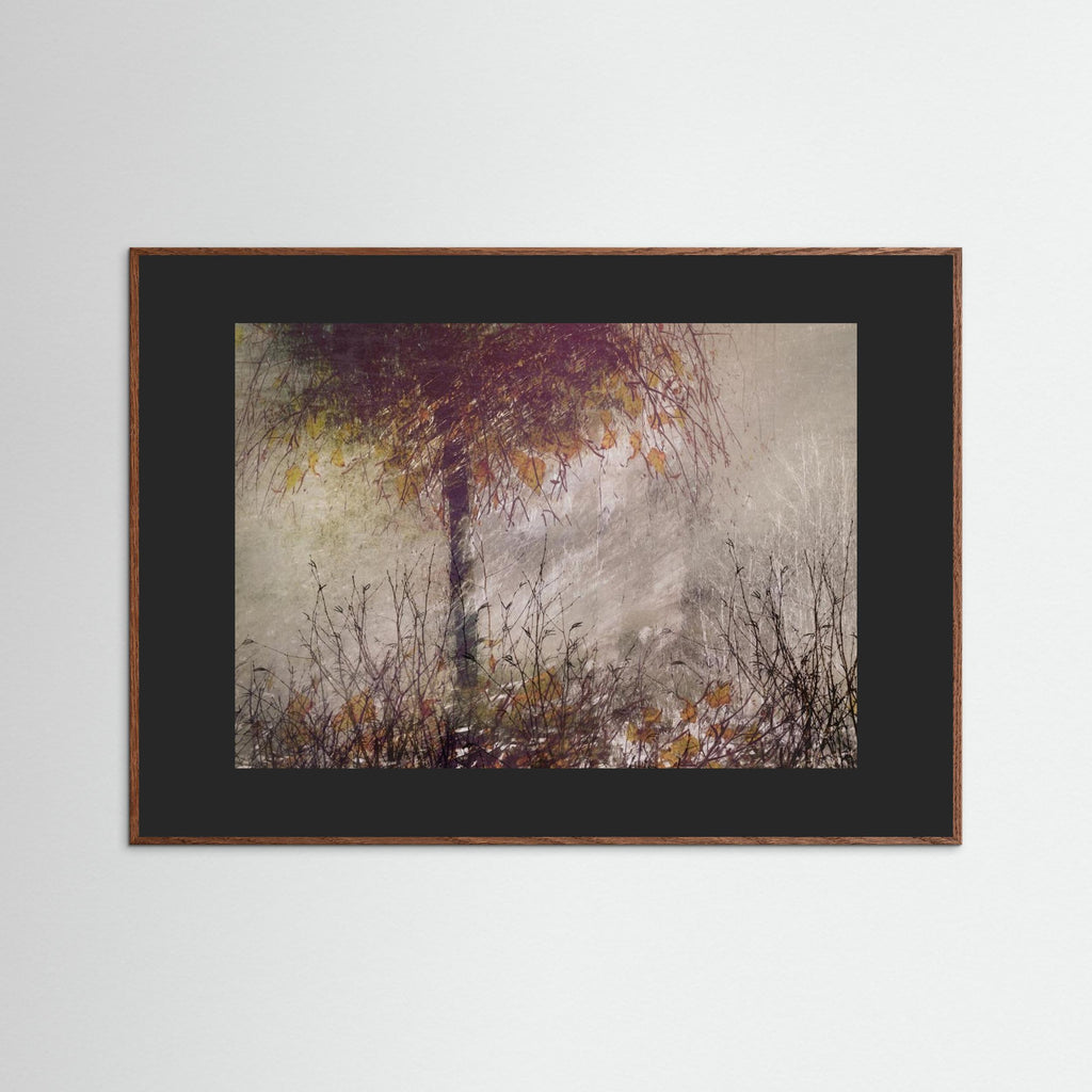 The birch by Nel Talen