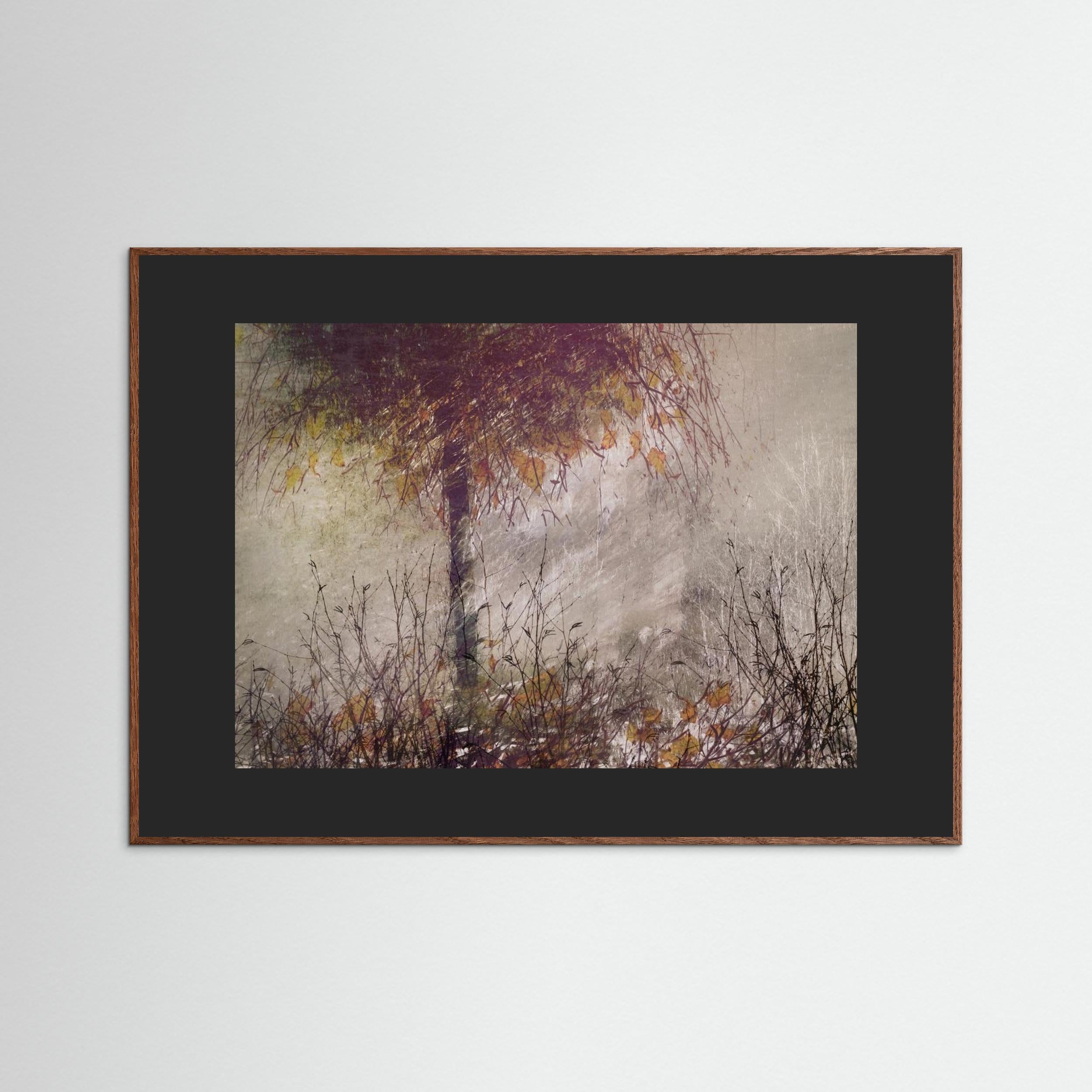 The birch by Nel Talen