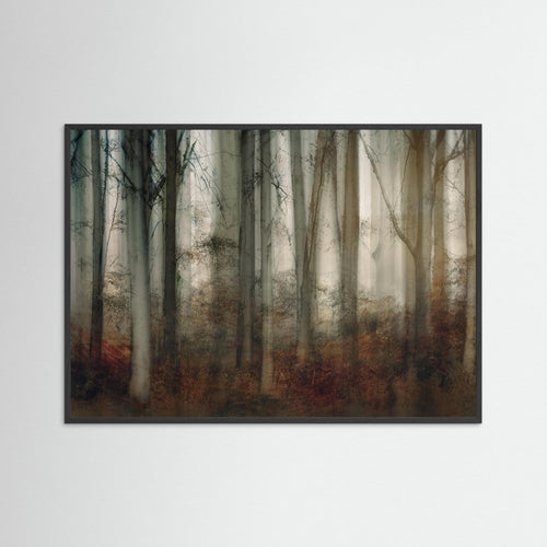 Autumn light by Nel Talen