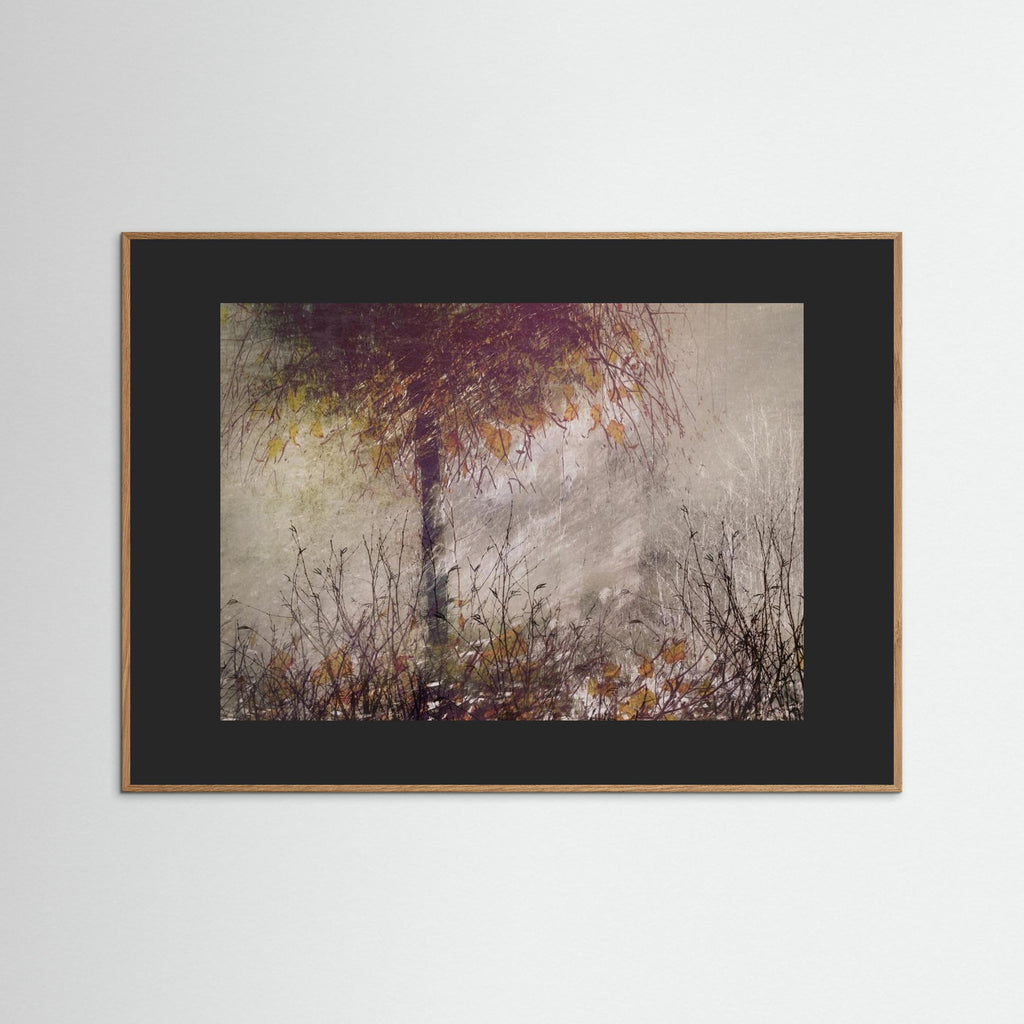 The birch by Nel Talen