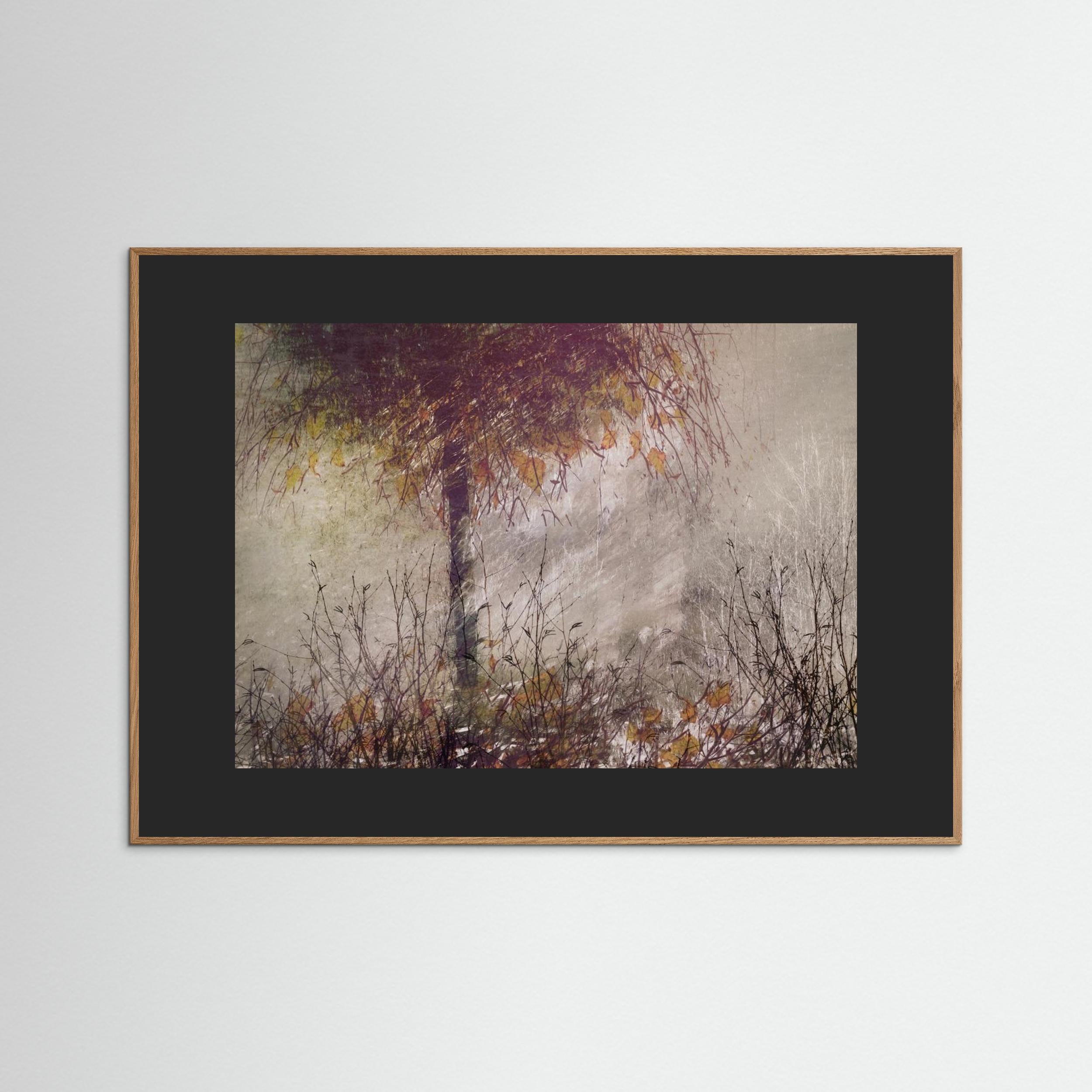 The birch by Nel Talen