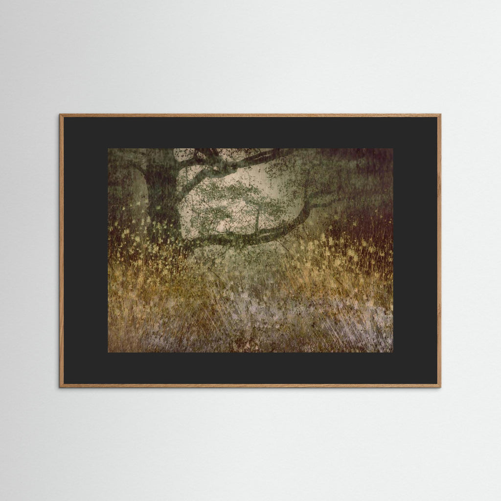Autumn is coming by Nel Talen