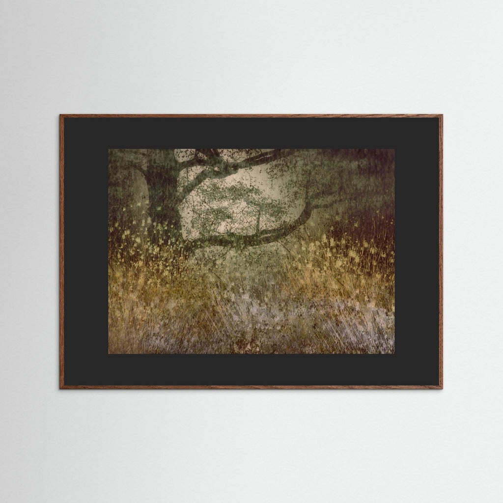 Autumn is coming by Nel Talen