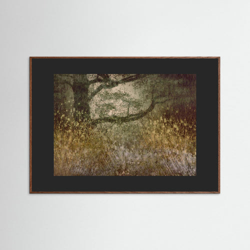 Autumn is coming by Nel Talen