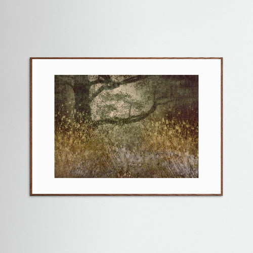 Autumn is coming by Nel Talen