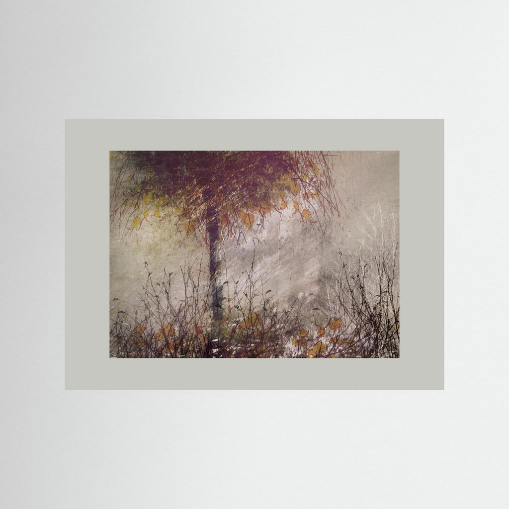The birch by Nel Talen