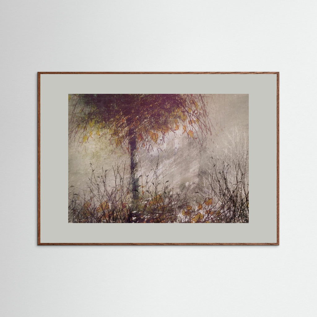 The birch by Nel Talen