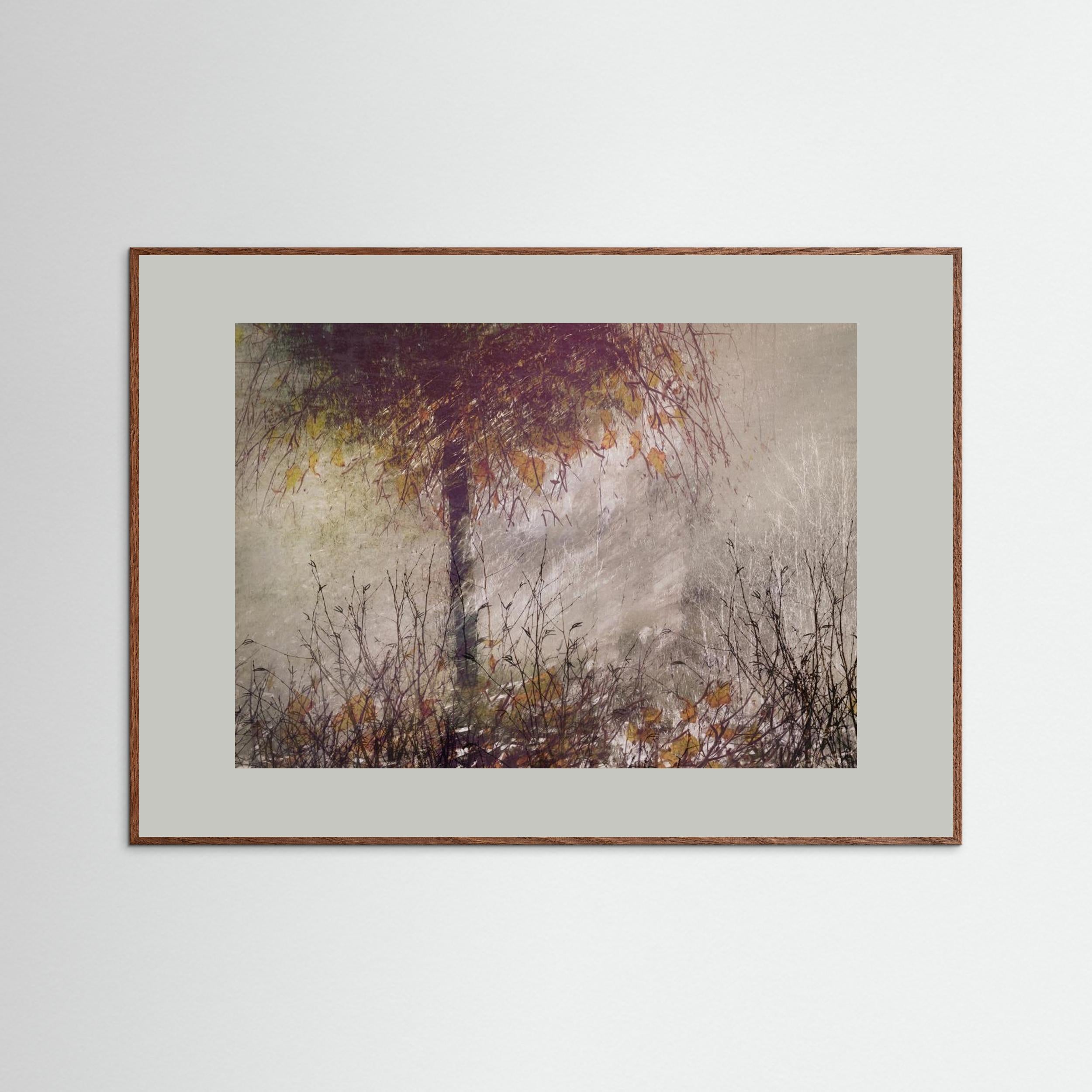 The birch by Nel Talen