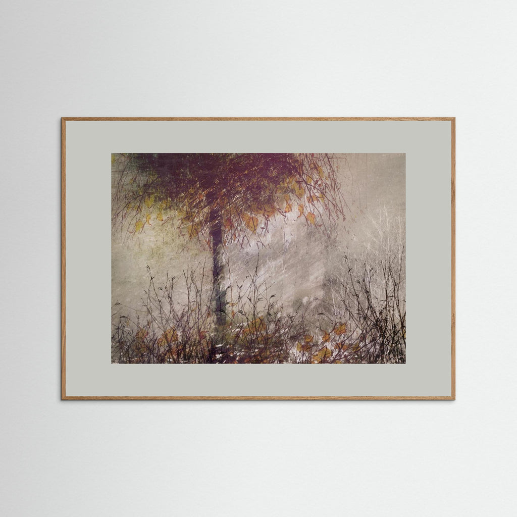 The birch by Nel Talen