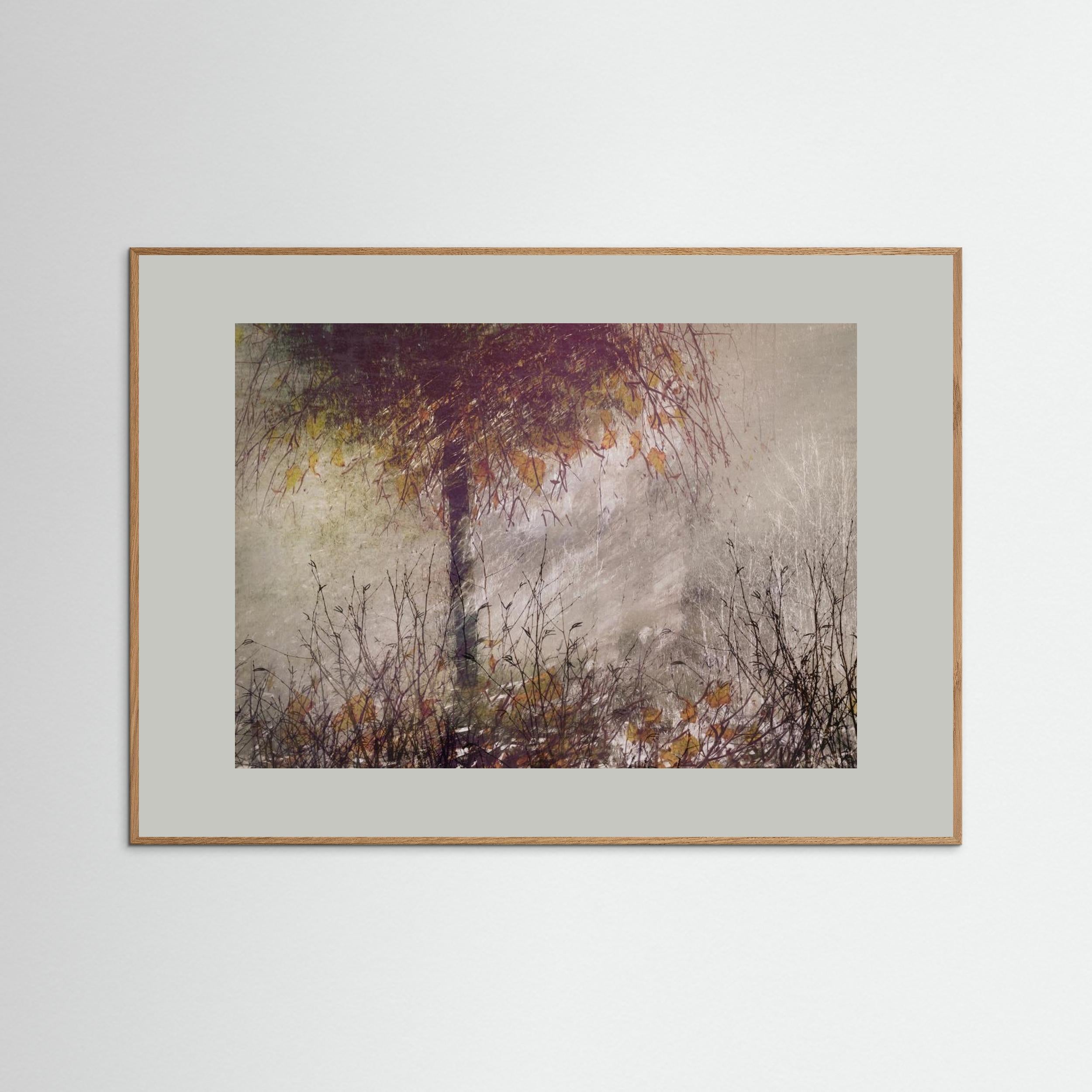 The birch by Nel Talen
