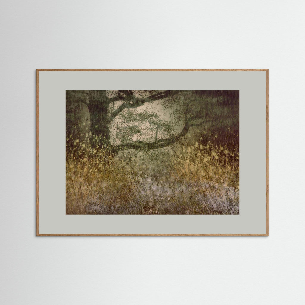 Autumn is coming by Nel Talen