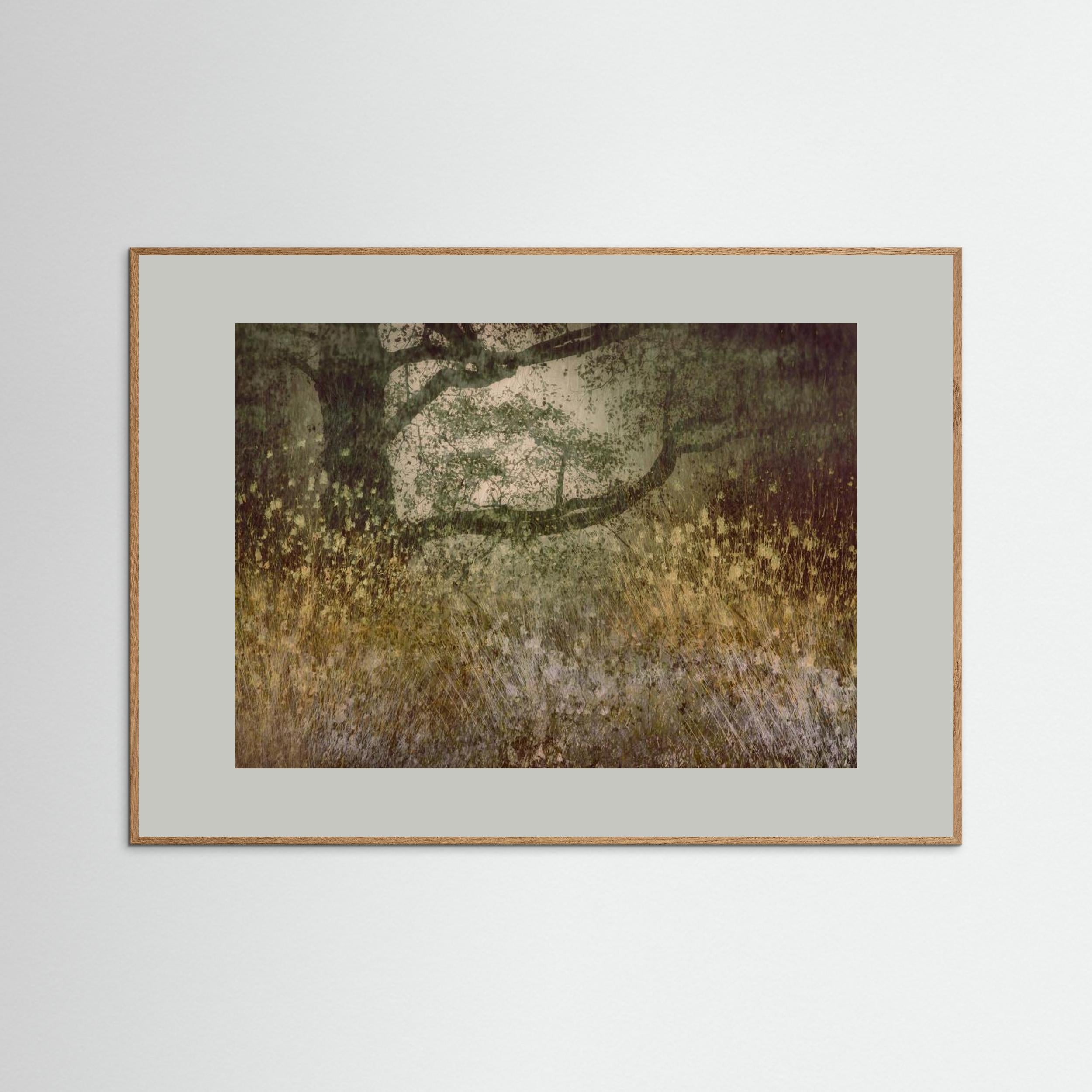 Autumn is coming by Nel Talen