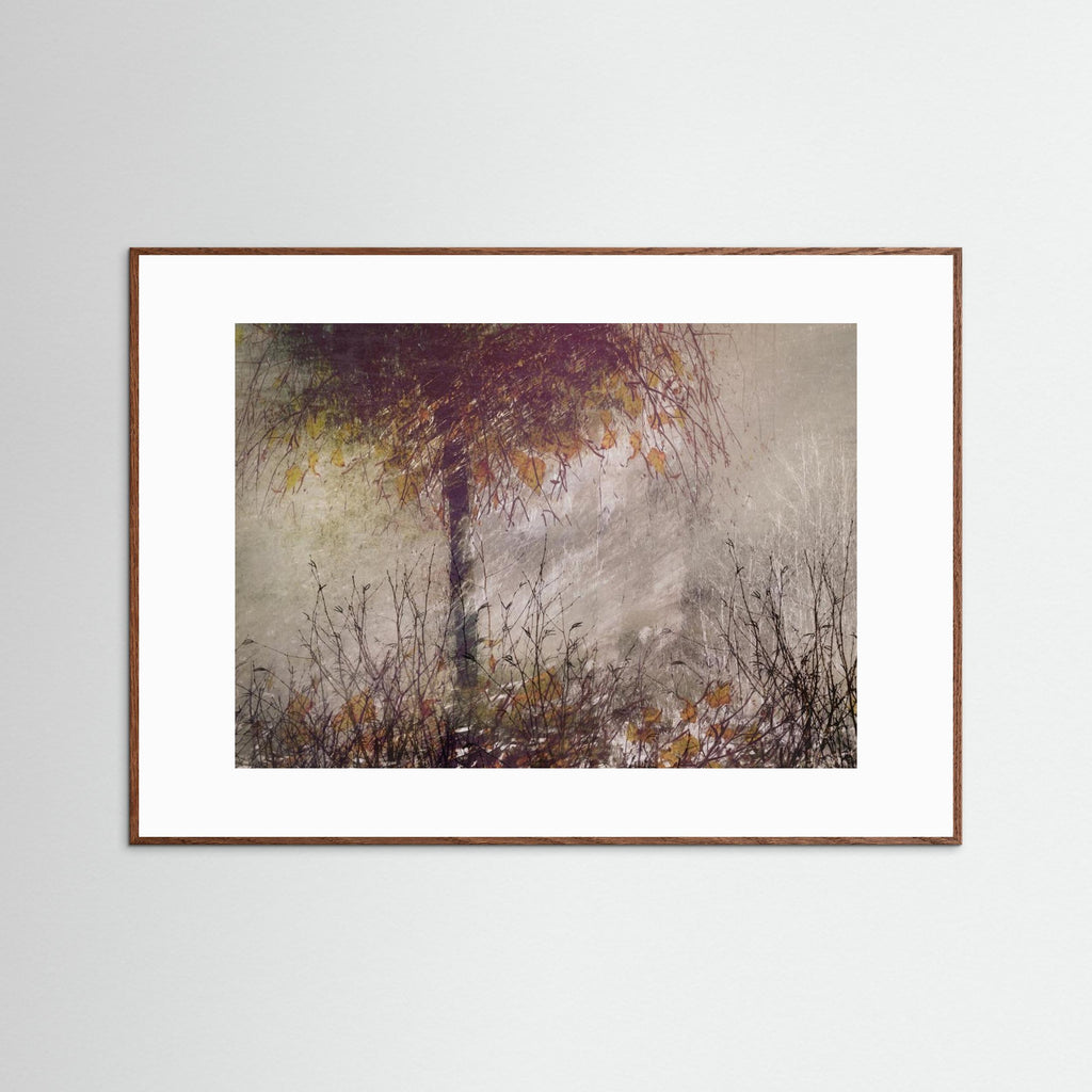 The birch by Nel Talen