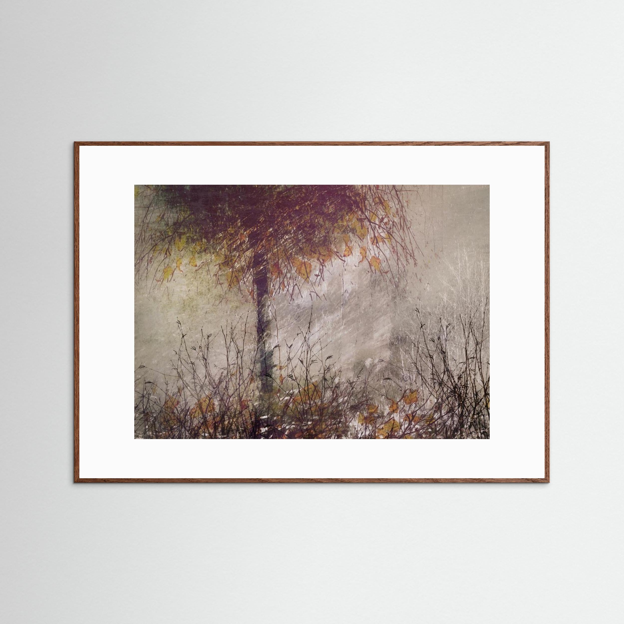 The birch by Nel Talen