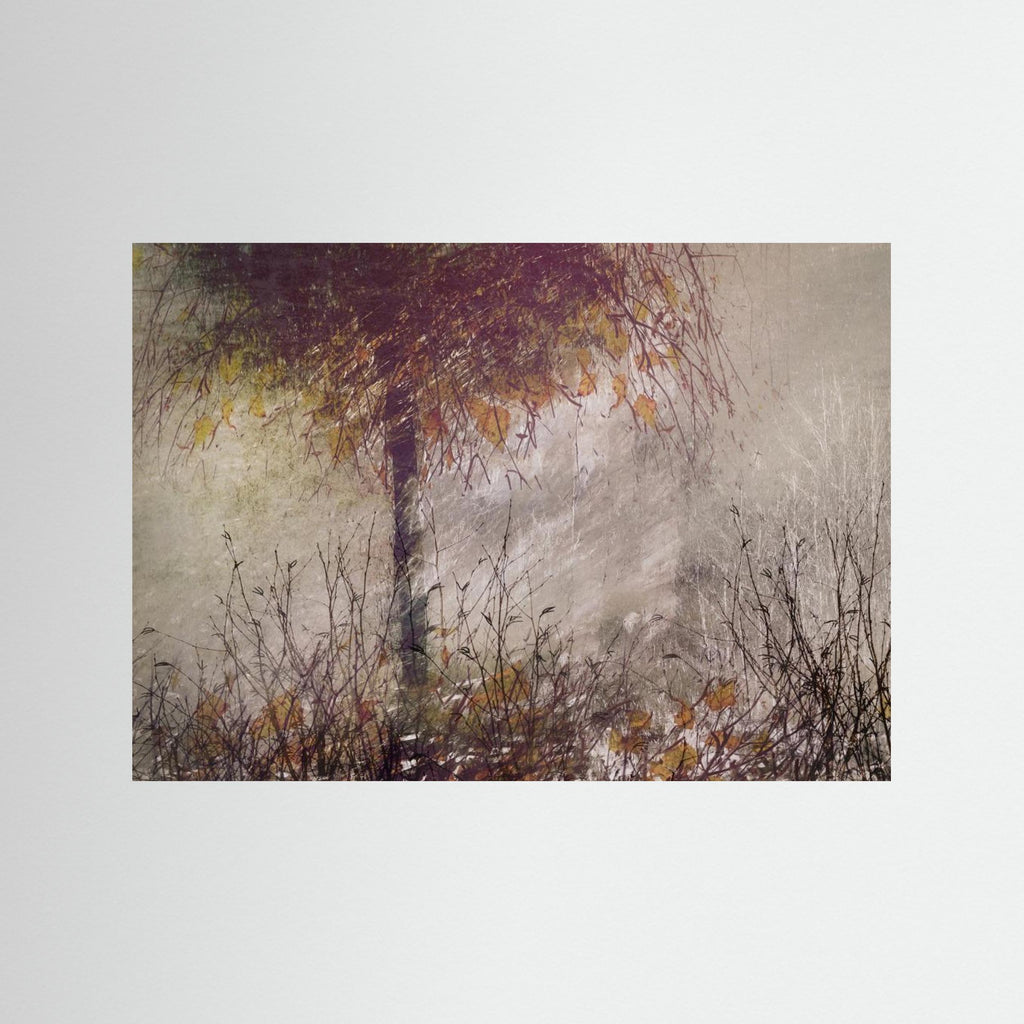 The birch by Nel Talen